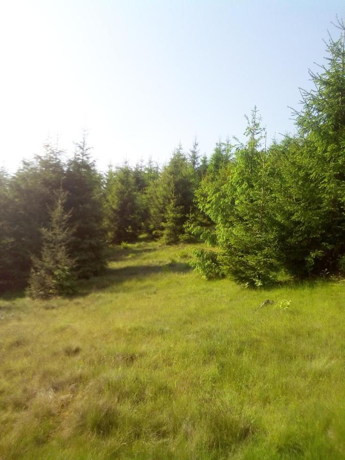 Sadyba U Vani Volovets Exterior foto